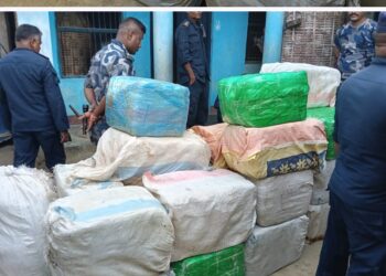 सिरहा प्रहरीको ठुलो सफलता ७१७.६ किलोग्राम गाँजा सहित १ मोटरसाइकल बरामद