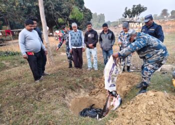 बरियारपट्टीमा २५ लाखको अवैध सामान बरामद, १०० केजी माछा र २० लिटर घरेलु मदिरा नष्ट
